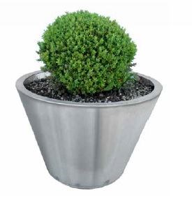 Cone
